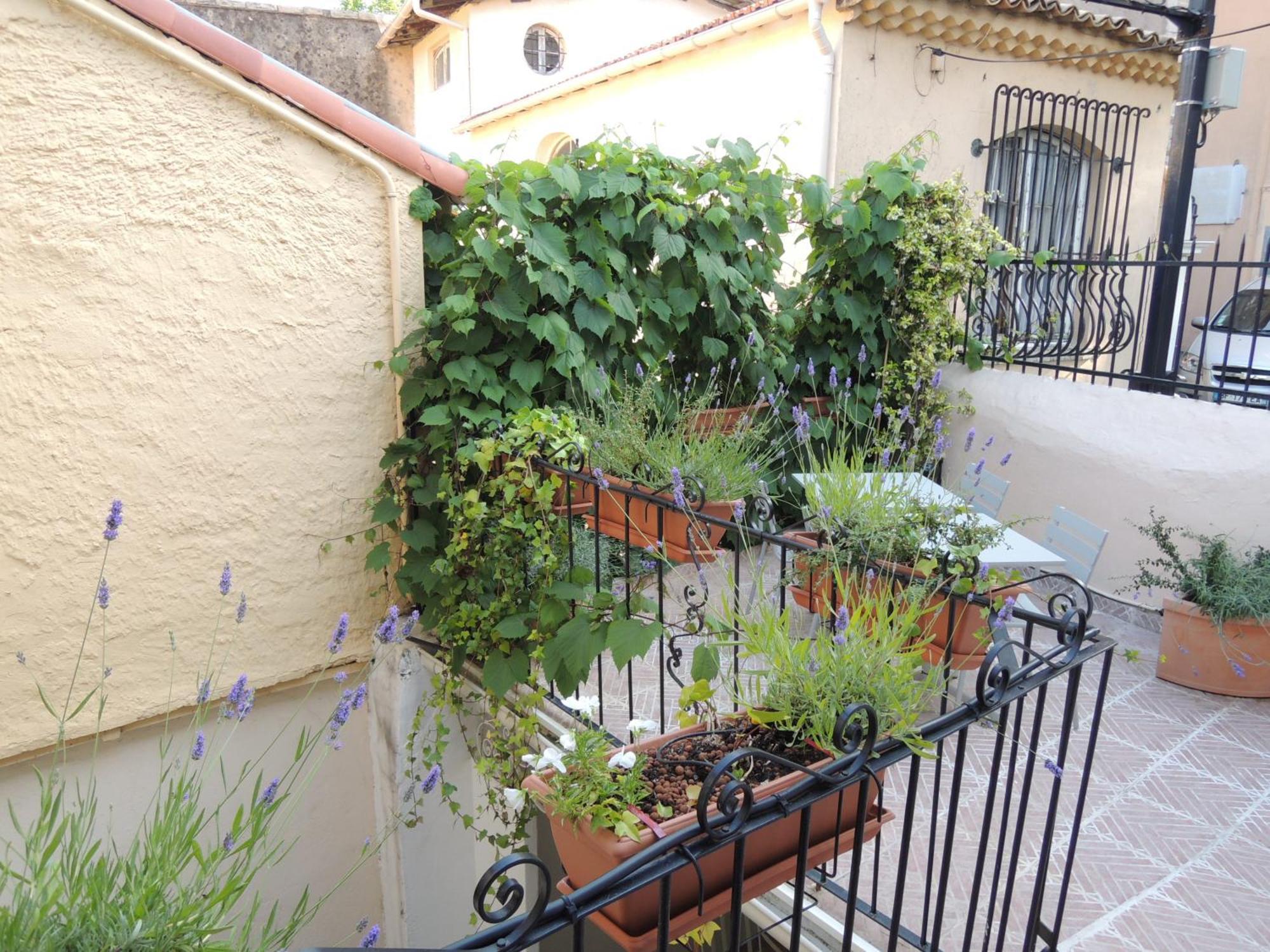 Acci Cannes Old City الغرفة الصورة